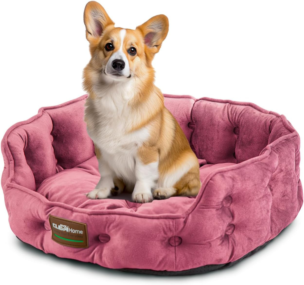 Camas y Sofás, Mantas y Muebles, Mascotas, Gatos, Camas para gatos, Gatos - camas, colchones