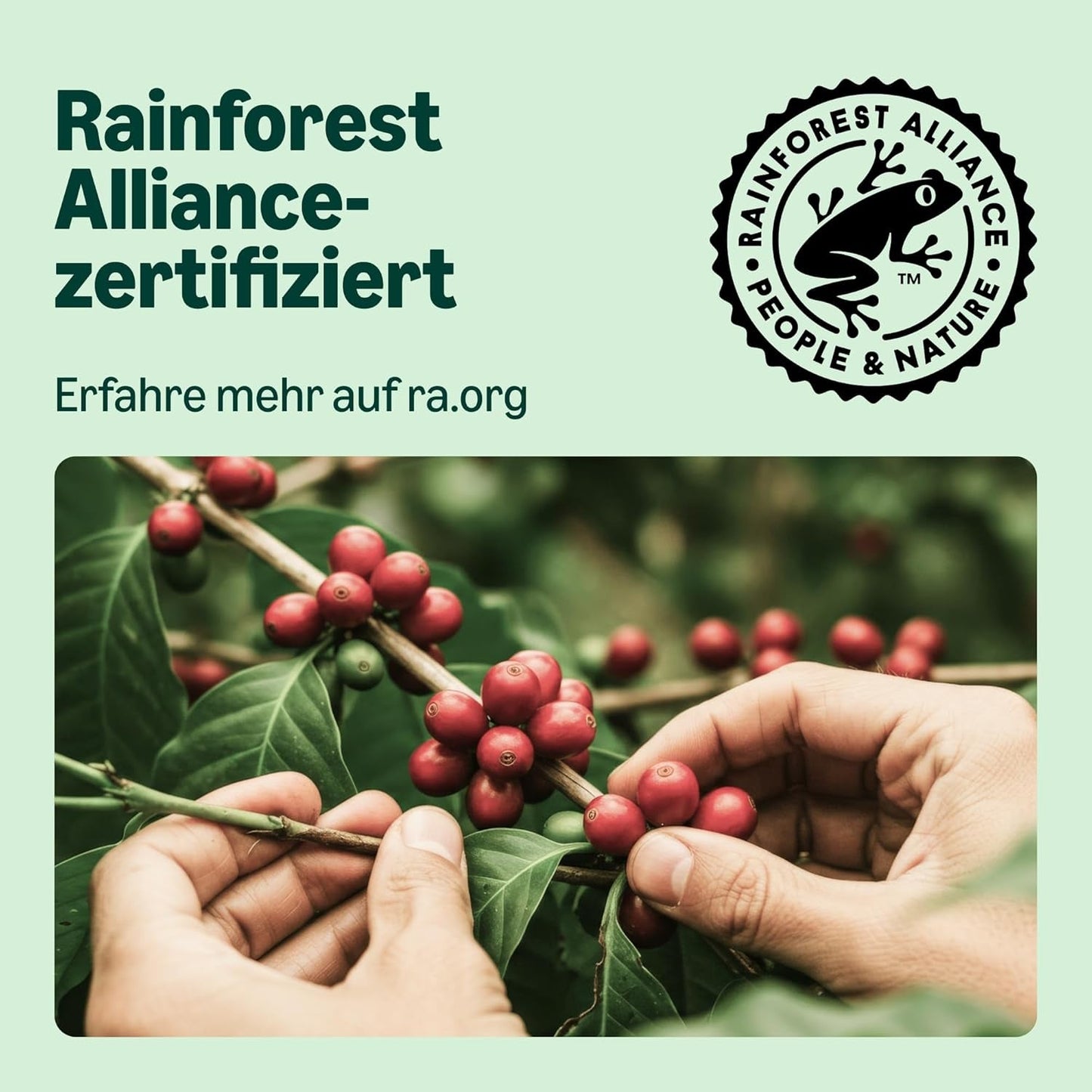 de Amazon Lungo Aluminium-Kaffeekapseln, compatible con Nespresso, mittelgeröstet, 100 Stück (5 Packungen mit je 20 Stück) – Rainforest Alliance certificado