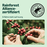 de Amazon Lungo Aluminium-Kaffeekapseln, compatible con Nespresso, mittelgeröstet, 100 Stück (5 Packungen mit je 20 Stück) – Rainforest Alliance certificado