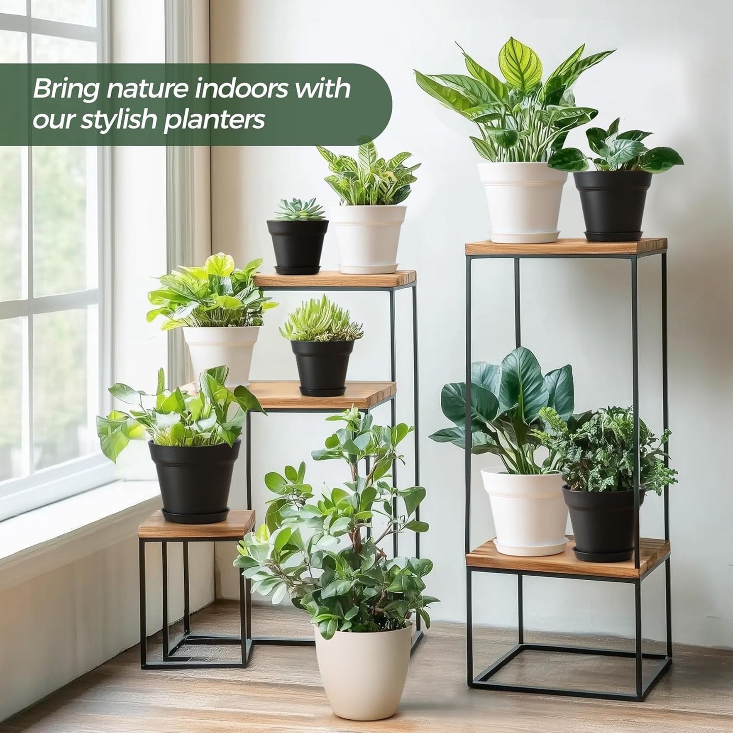 T4U Maceta de Plástico con Platillo de 16 cm, Juego de 6 Macetas de Plástico para Hierbas con Múltiples Orificios de Drenaje, Maceta Redonda para Plantas Suculentas de Interior y Balcón, Cactus, Blanco