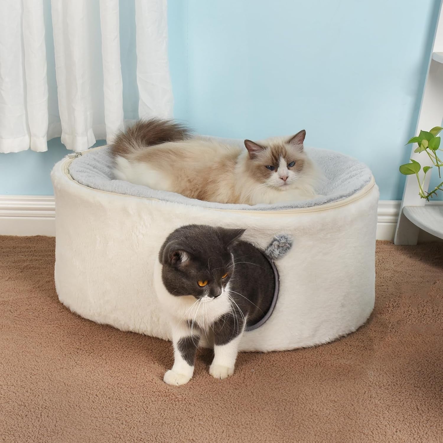 Mantas y Muebles, Mascotas, Cuevas y Casas, Gatos, Camas para Gatos, Camas para Gatos, Colchones