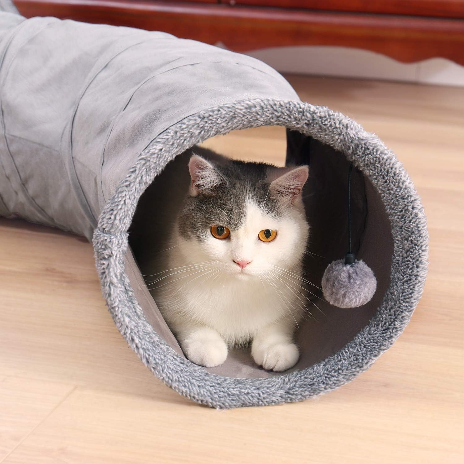Mascotas, gatos, gatos: camas, colchones, juguetes, túneles.