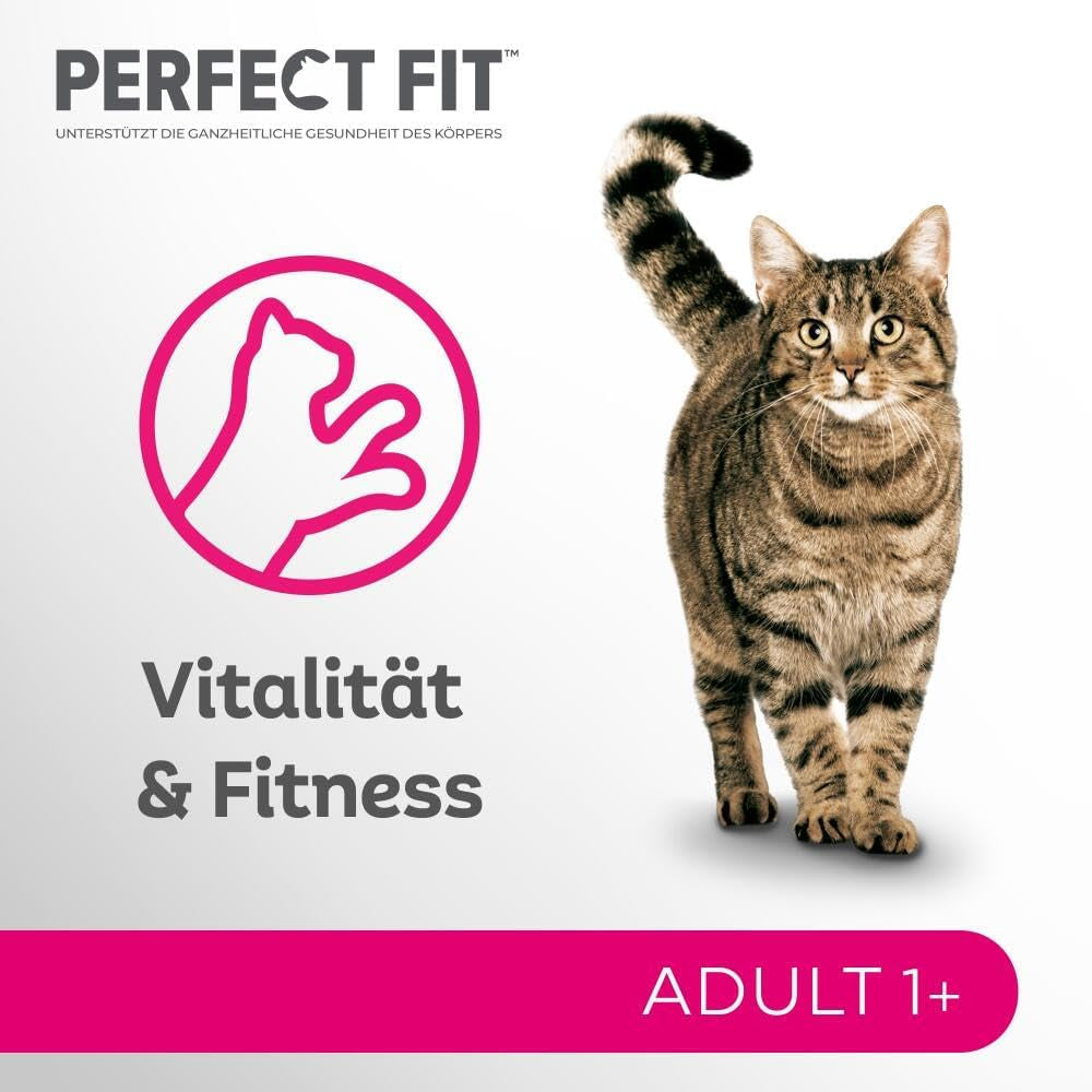 Perfect Fit Adult 1+ selección de comida húmeda con salmón, pescado de aguas profundas, ternera y pollo, 48 sobres, 12x85g (paquete de 4) - Comida húmeda premium para gatos adultos a partir de 1 año
