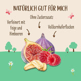 Gachas de Allos de higos y frambuesas sin azúcar | Gachas sin azúcar | Muesli orgánico | Muesli con frutas | Avena | Gachas de avena para el desayuno | Cereales para el desayuno | Vegano | Paquete de 6 (6 x 500 g)