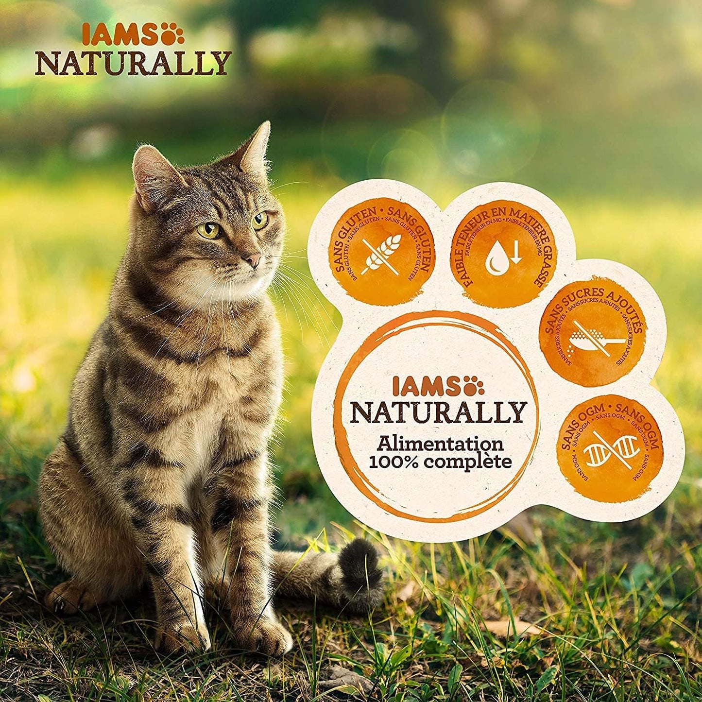 IAMS Comida Húmeda Natural para Gatos en Salsa - Comida Húmeda de Alta Calidad con Pescado para Gatos Adultos, Colección Mar, 12 x 85 g