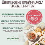 Pasta ecológica Trivelline N.47 - 500g con harina de espelta, harina de lentejas y harina de quinoa - Rica en proteínas, fuente de fibra y proteínas