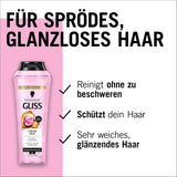 Gliss Champú Líquido Seda (250 ml), para cabello frágil y sin brillo Ducha y baño Naty Shop