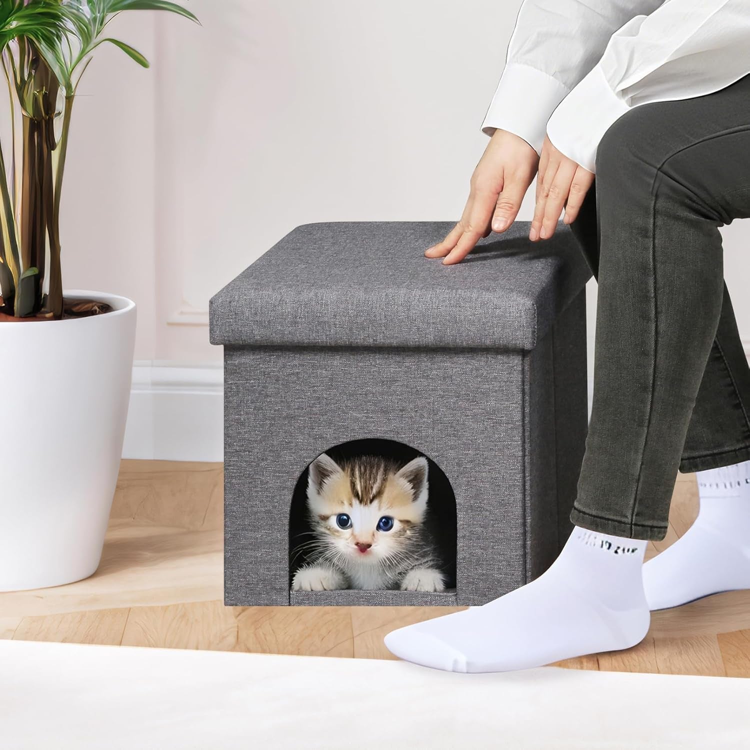 Mantas y Muebles, Mascotas, Casas y Cuevas, Gatos, Camas para gatos, Gatos - camas, colchones