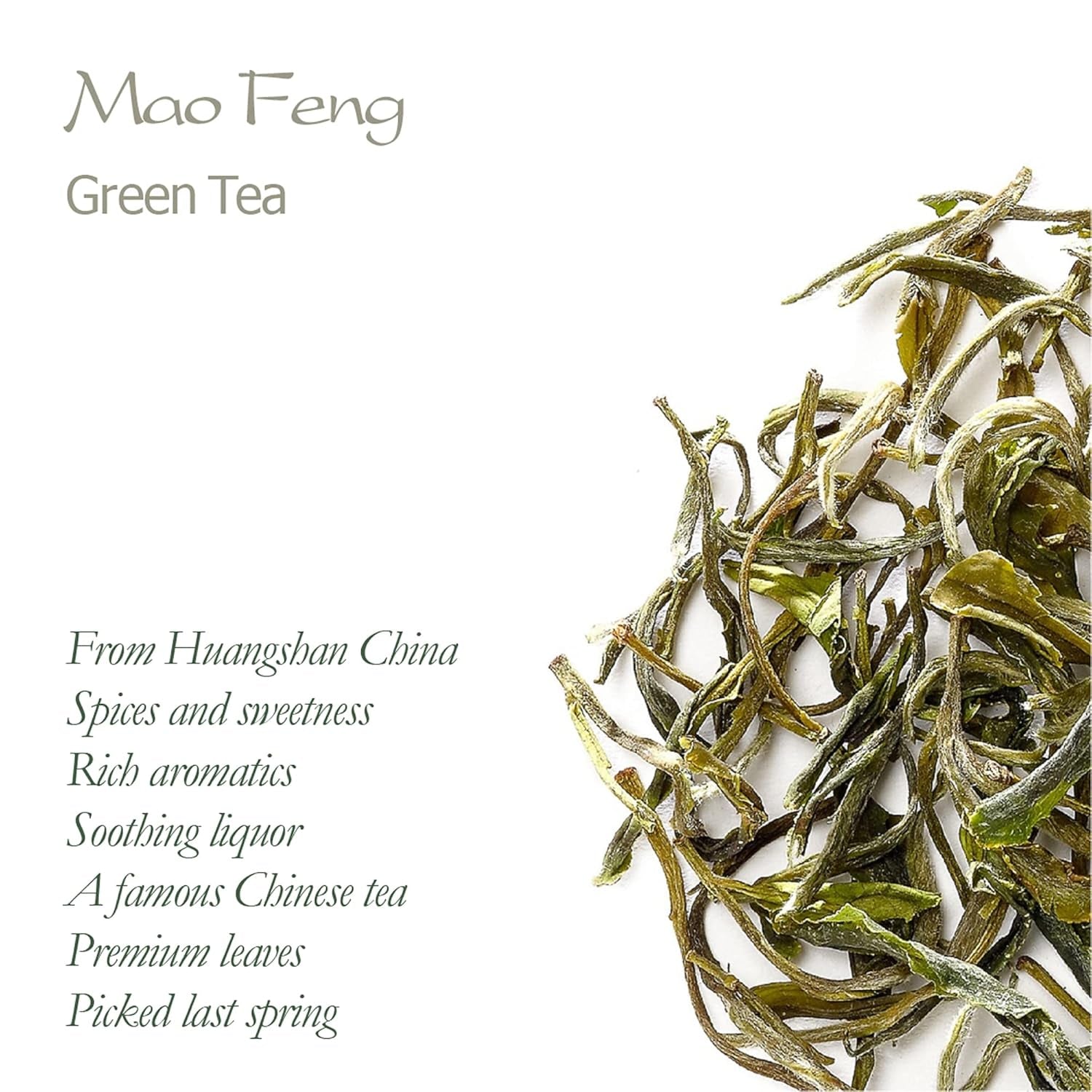 Té verde Mao Feng Huangshan - Famoso té chino de Huang Shang - Montañas Amarillas de Maofeng Hojas de té verde Té Mao Feng de China Té verde orgánico Té verde chino Té verde