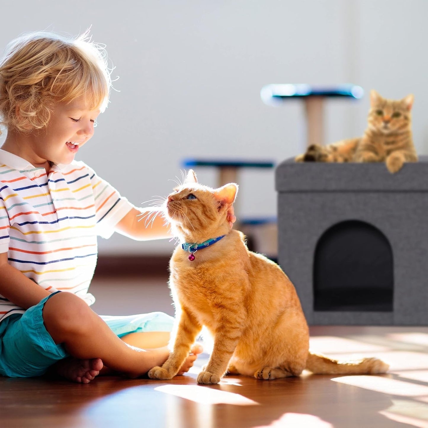 Mantas y Muebles, Mascotas, Casas y Cuevas, Gatos, Camas para gatos, Gatos - camas, colchones