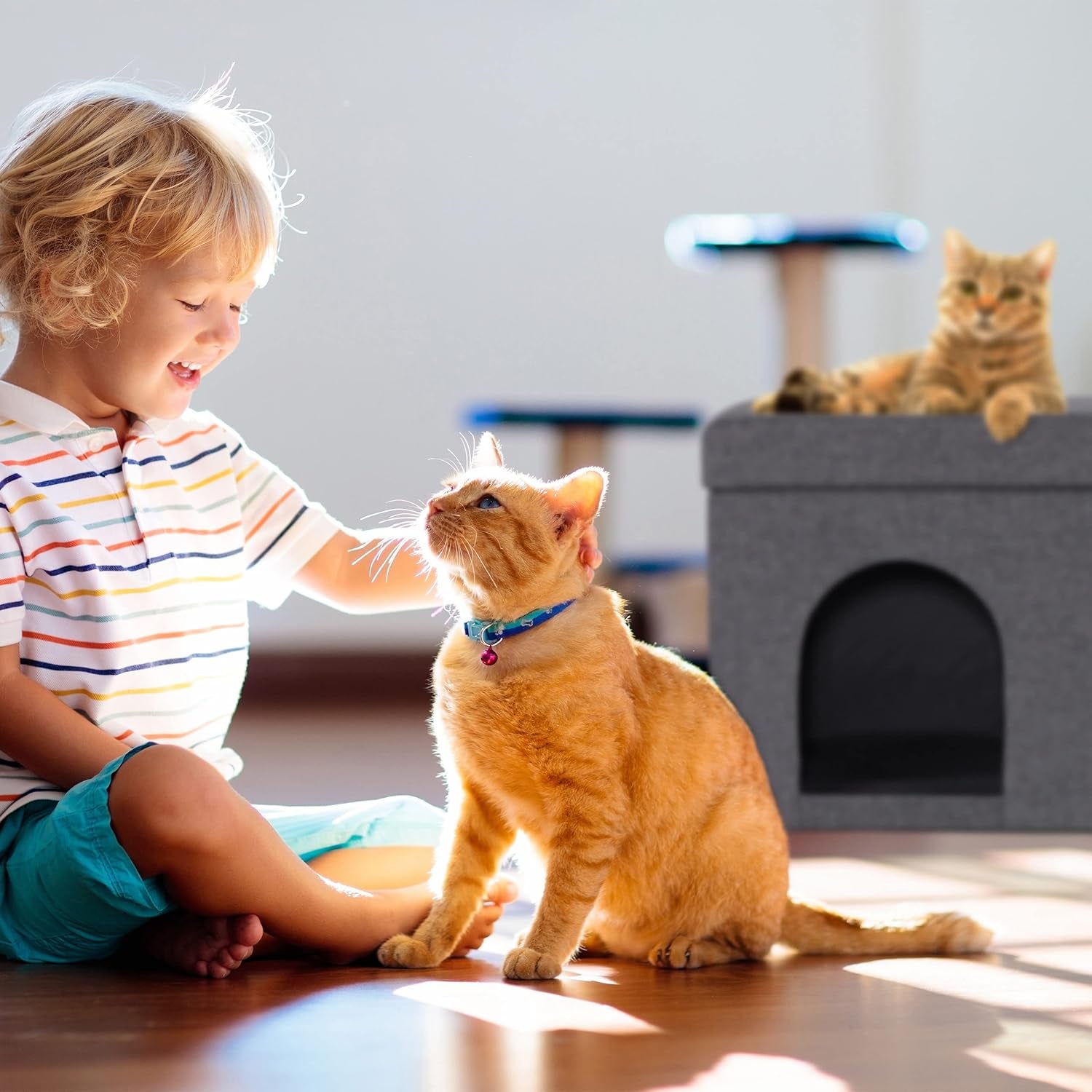 Mantas y Muebles, Mascotas, Casas y Cuevas, Gatos, Camas para gatos, Gatos - camas, colchones