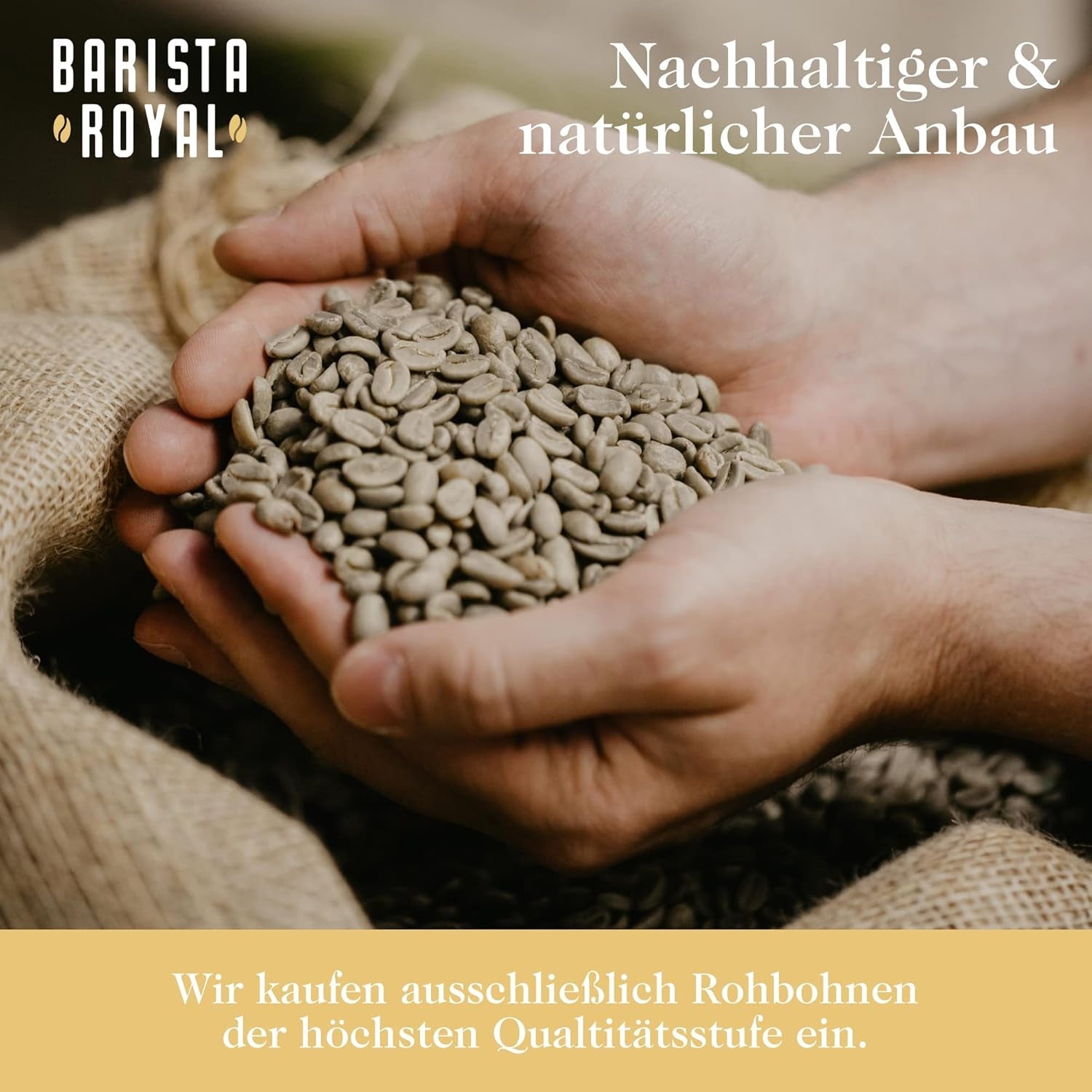 Juego de muestra de granos de espresso 4 x 350 g de granos de espresso | Paquete de descubrimiento/paquete de muestra | Robusta y Arábica | Ideal para dispositivos totalmente automáticos y portafiltros | BARISTA REAL
