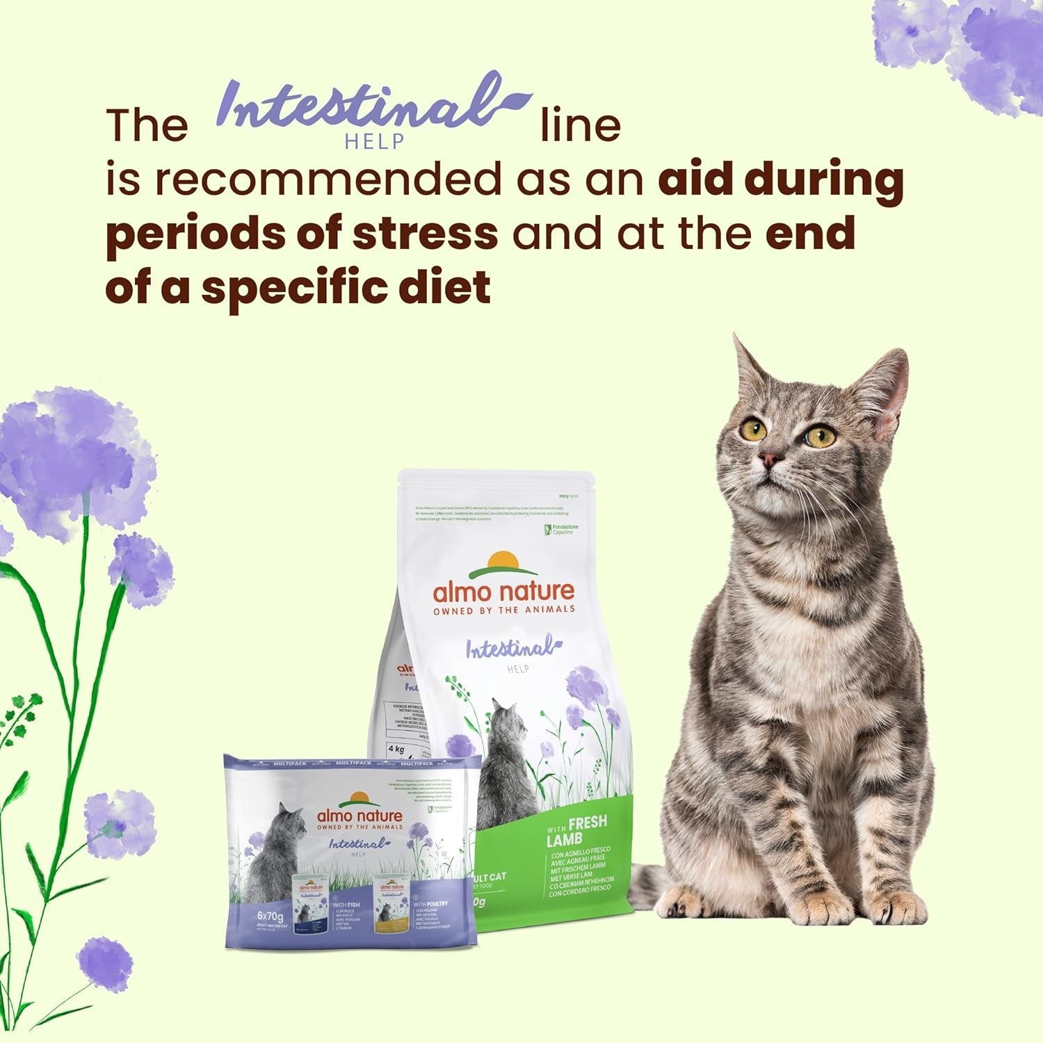 Almo Nature Functional - Intestinal Help - Alimento húmedo para gatos adultos y maduros con intestinos sensibles - con aves - favorece el microbioma - 70 g (paquete de 30)