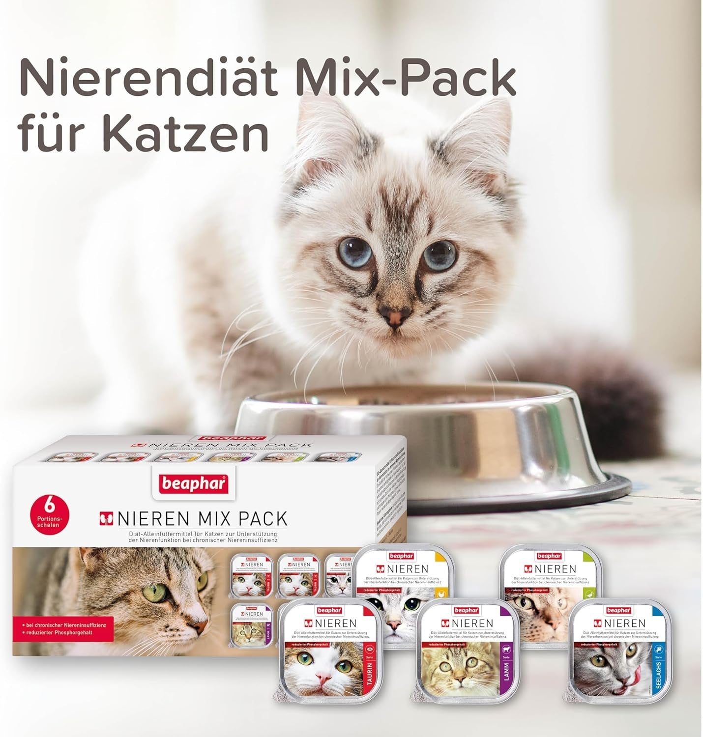 BEAPHAR – Paquete Mixto de Dieta Renal – Alimento completo para gatos con insuficiencia renal crónica – Para apoyar la función renal – 6 x 100 g