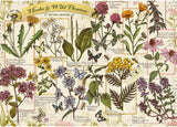 Puzzle 500 hierbas medicinales Puzzle Naty Shop
