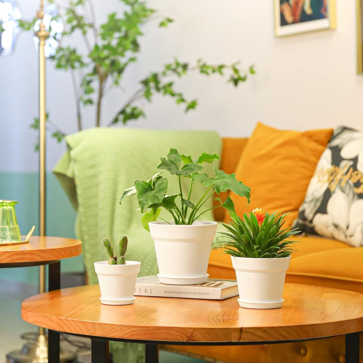 T4U Maceta de Plástico con Platillo de 16 cm, Juego de 6 Macetas de Plástico para Hierbas con Múltiples Orificios de Drenaje, Maceta Redonda para Plantas Suculentas de Interior y Balcón, Cactus, Blanco