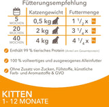IAMS Delights Kitten Nassfutter - Multipack Katzenfutter mit Hunn in Sauce, Futter de alta calidad para niños pequeños de 1 a 12 meses, 12 x 85 g