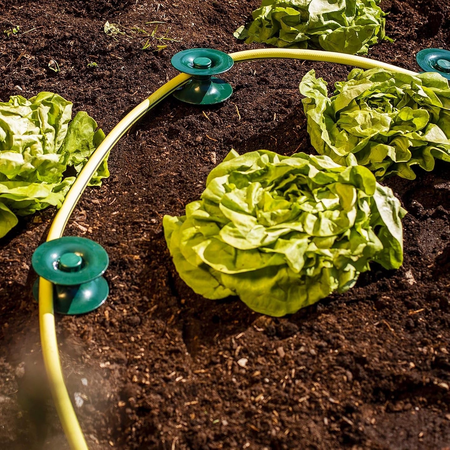 Juego de 3 guías de manguera, verdes, 24 x 9 cm | Manguera de jardín y guía de cables con anclaje al suelo | Enrollador de manguera para proteger parterres y paredes de casas | Carrete para manguera y cable de jardín.