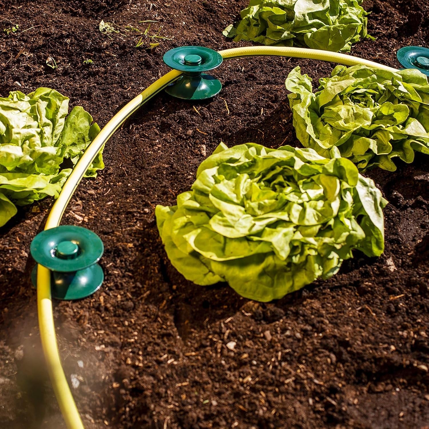 Juego de 3 guías de manguera, verdes, 24 x 9 cm | Manguera de jardín y guía de cables con anclaje al suelo | Enrollador de manguera para proteger parterres y paredes de casas | Carrete para manguera y cable de jardín.