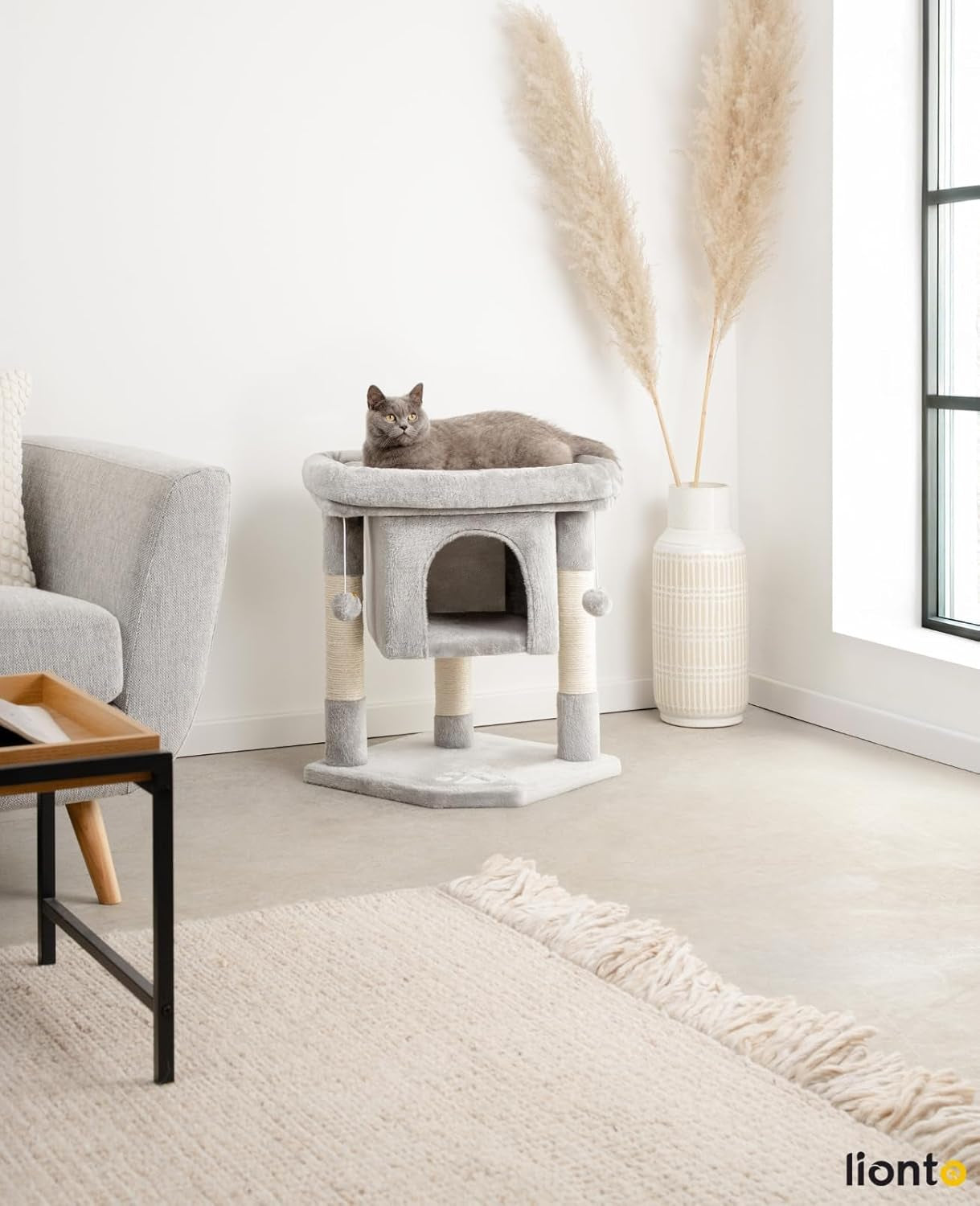 Mantas y Muebles, Mascotas, Gatos, Camas para gatos, Rascador, Gatos - Camas, Colchones
