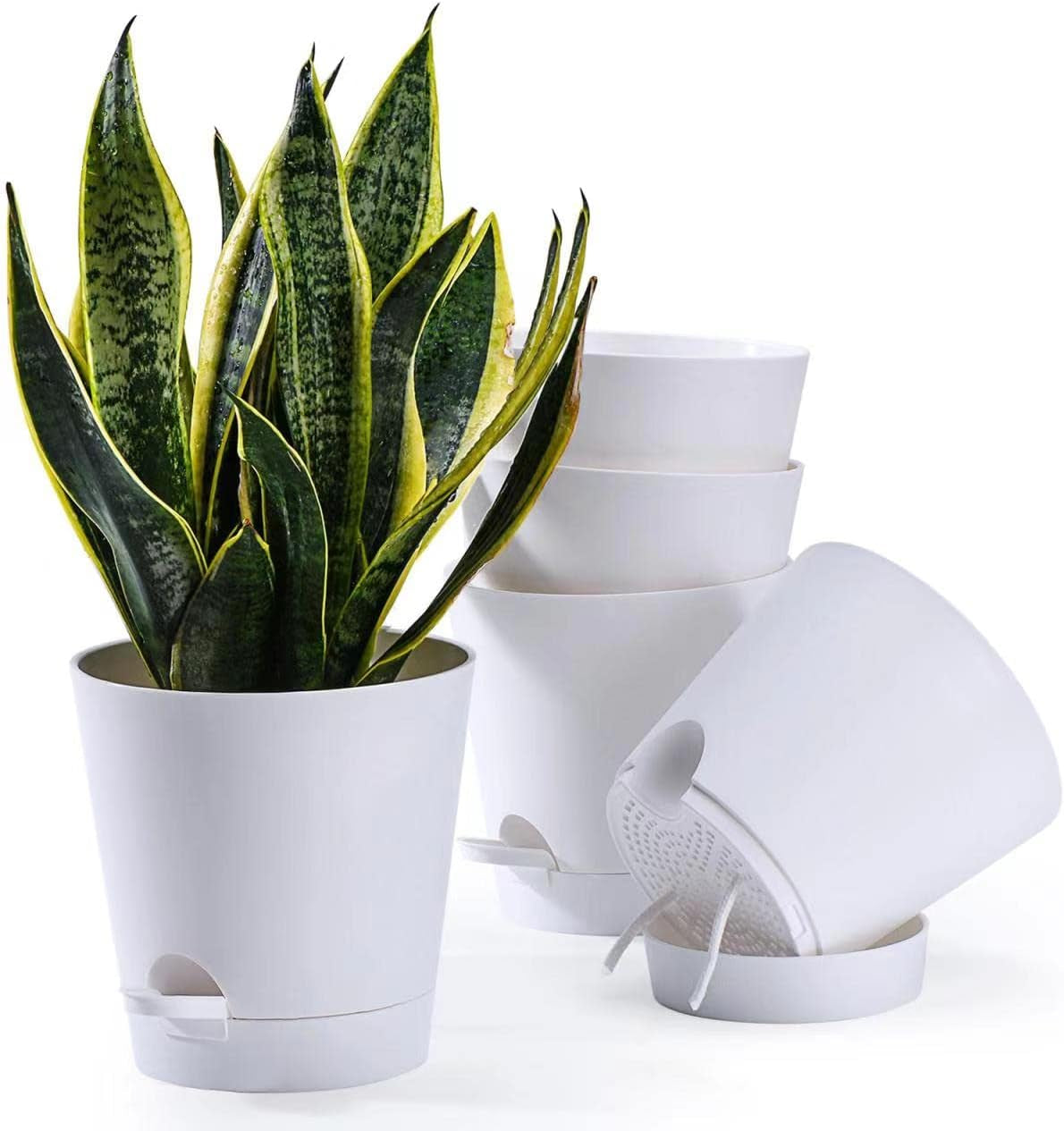 Macetas 6 Piezas Macetero con autorriego de 12,7 cm Macetero de Alto Drenaje para Interiores y Exteriores con Bandeja de depósito y Borde de Riego Macetero de jardín
