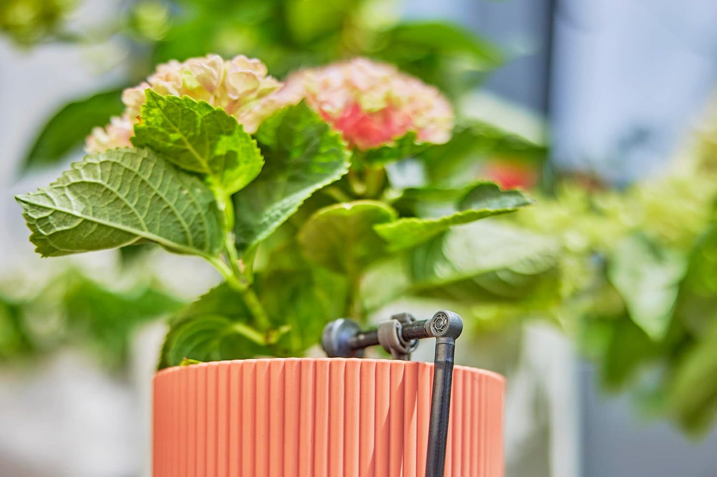 Pieza en L para Gardena Micro-Drip de 4,6 mm (3/16 pulgadas): para cambiar la dirección de distribución y las líneas de goteo en 90 grados, instalación sin dobleces, tecnología de conexión fácil y flexible (13212-20)
