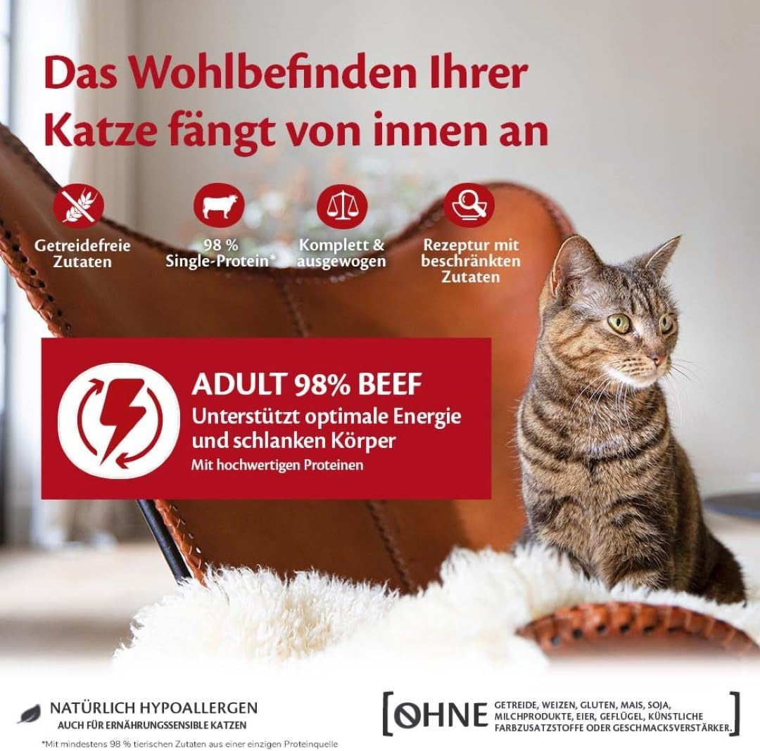 Wellness CORE 98% 12 x 85g, Carne de Vacuno - Comida húmeda para gatos, paté espeso, sin cereales, natural, hipoalergénico, alto en proteínas, alto en carne