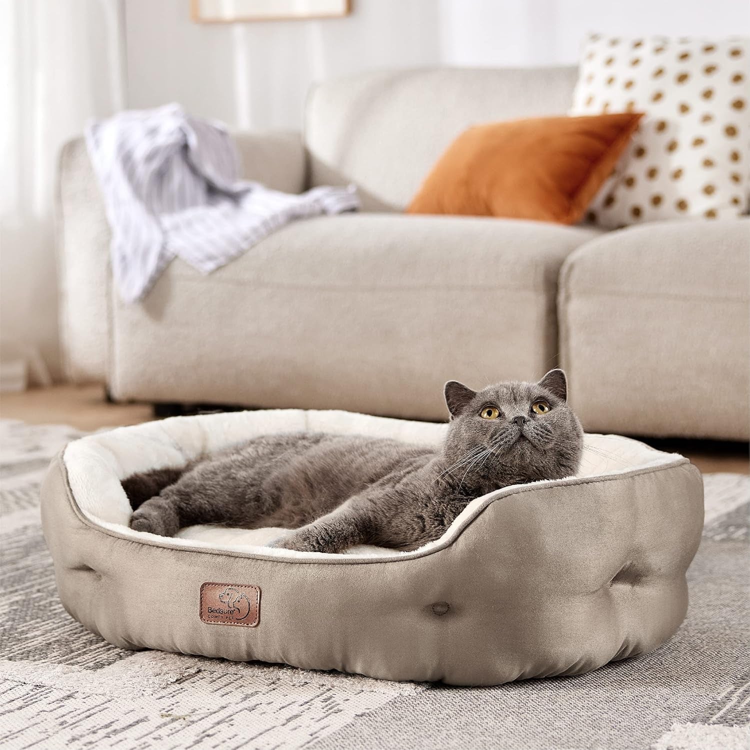 Camas y Sofás, Mantas y Muebles, Mascotas, Gatos, Camas para gatos, Gatos - camas, colchones