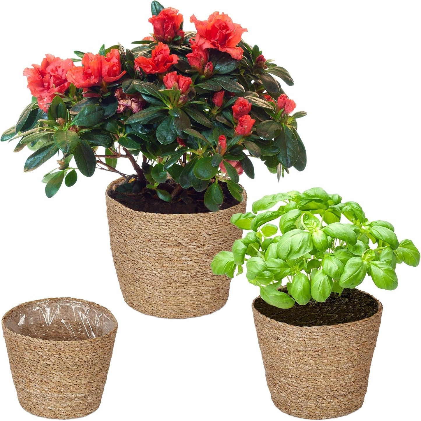 Relaxdays Macetero de algas marinas, juego de 3 maceteros redondos para flores y hierbas con papel de aluminio, macetero de 3 tamaños natural