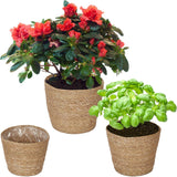 Relaxdays Macetero de algas marinas, juego de 3 maceteros redondos para flores y hierbas con papel de aluminio, macetero de 3 tamaños natural