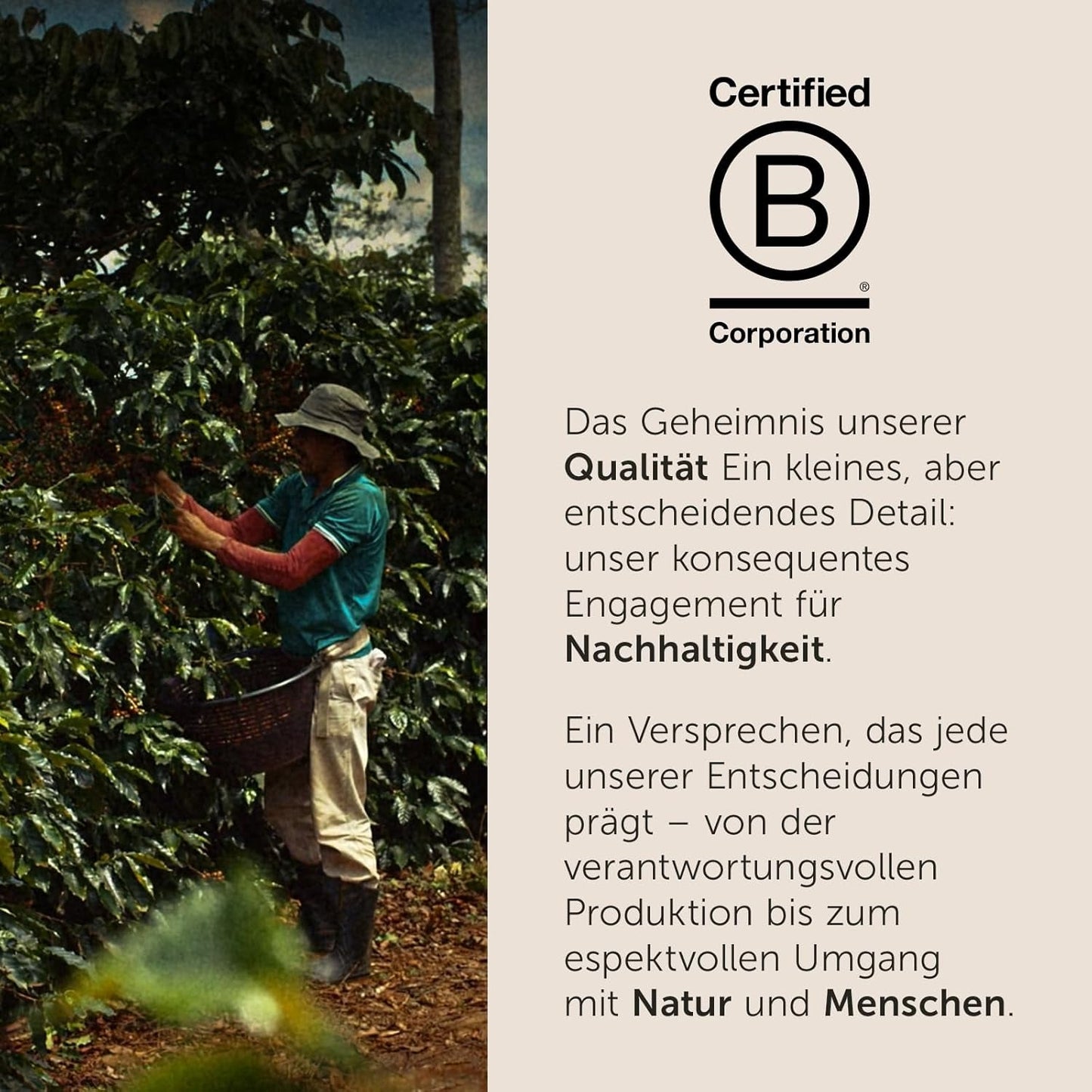 illy, Iperespresso Arábica Selection Kolombien, 100% Arábica con Fruchtigen Noten von Zitrusfrüchten und Roten Früchten, Gesmack mit Tarter Säure, 6 Packungen à 18 Kapseln (Insgesamt 108 Kapseln)