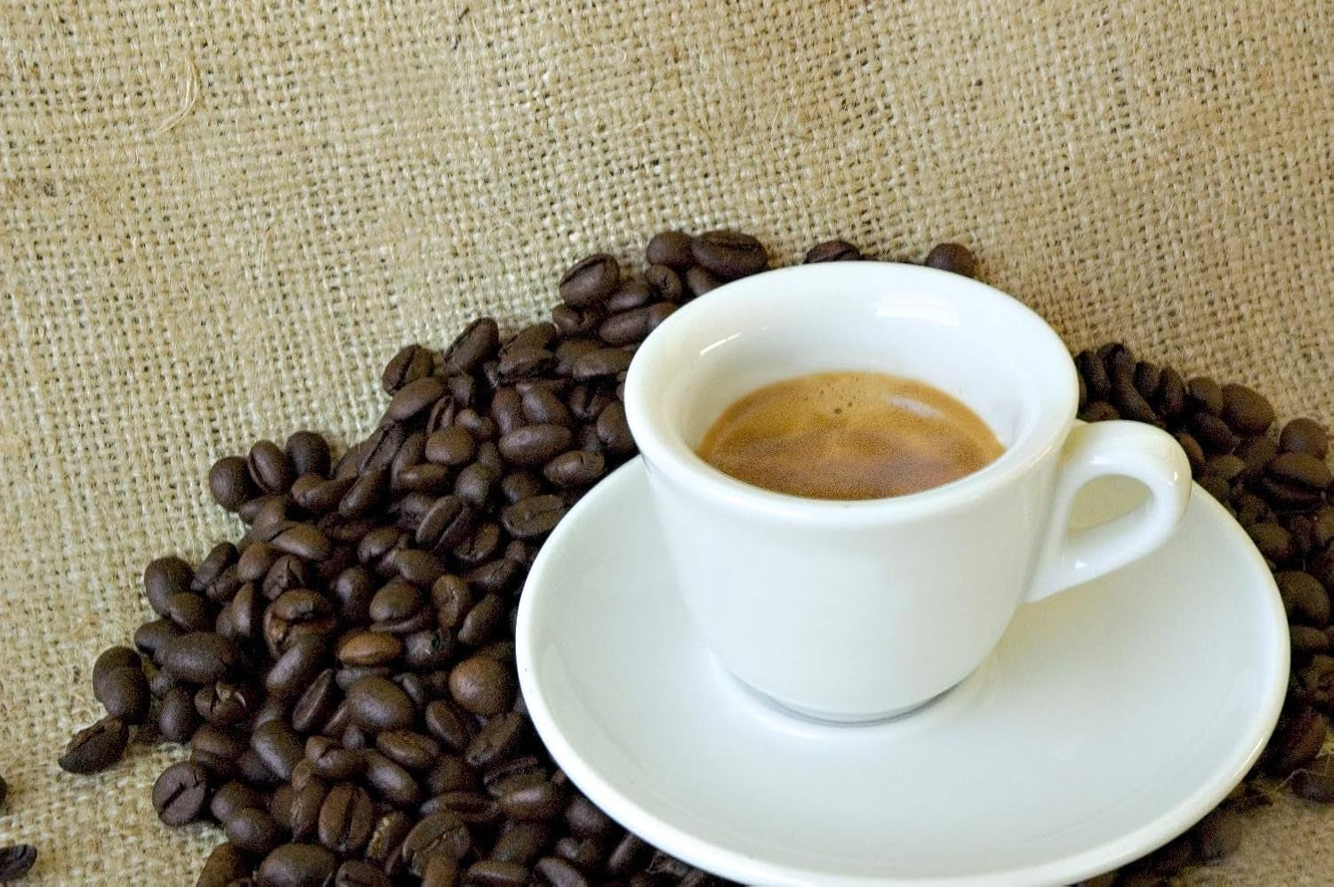 Caffè Corsini - Classico Italiano, Miscela Di Caffè En Cápsulas Compatibles Nespresso, Gusto Forte E Deciso - Confezione Da 100 Cápsulas