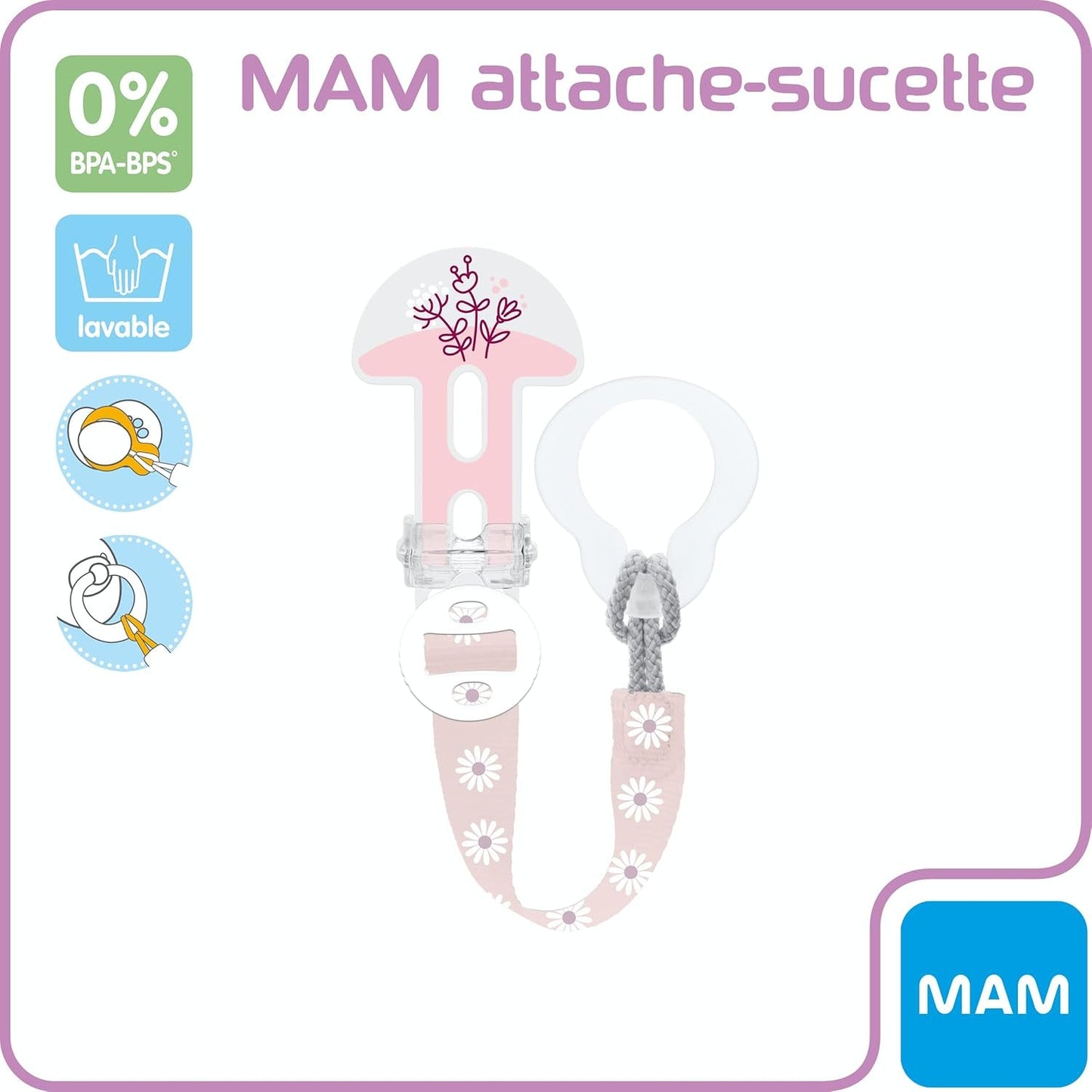 Suculentas mixtas MAM para todas las edades - color aleatorio - instrucciones en francés.