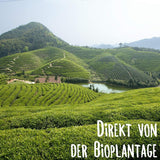 KLUIZ Gyokuro Tokiwa orgánico - Primera cosecha recolectada a mano - Té verde japonés I 100 gramos I Té verde orgánico