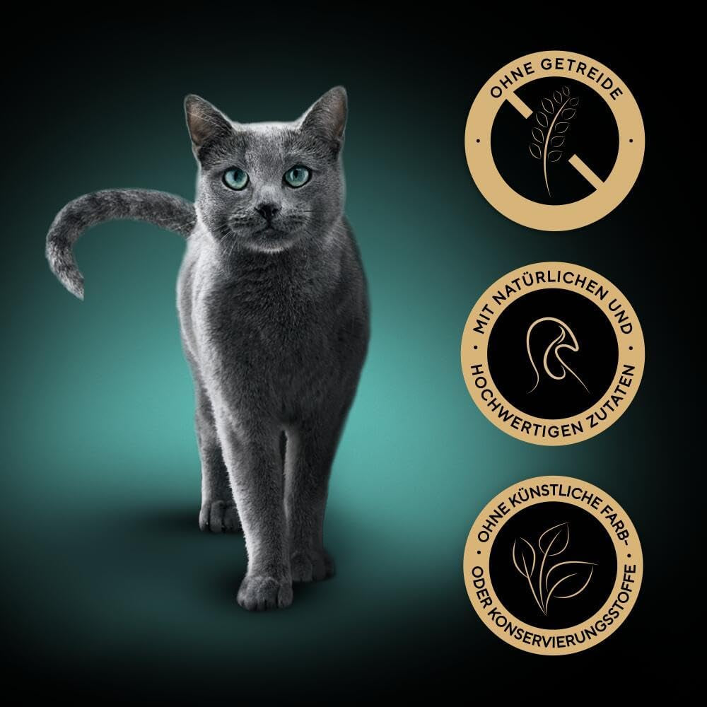 SHEBA Comida húmeda para gatos, Nature's Collection en salsa de pavo, 2 x 11 x 85 g