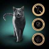 SHEBA Comida húmeda para gatos, Nature's Collection en salsa de pavo, 2 x 11 x 85 g