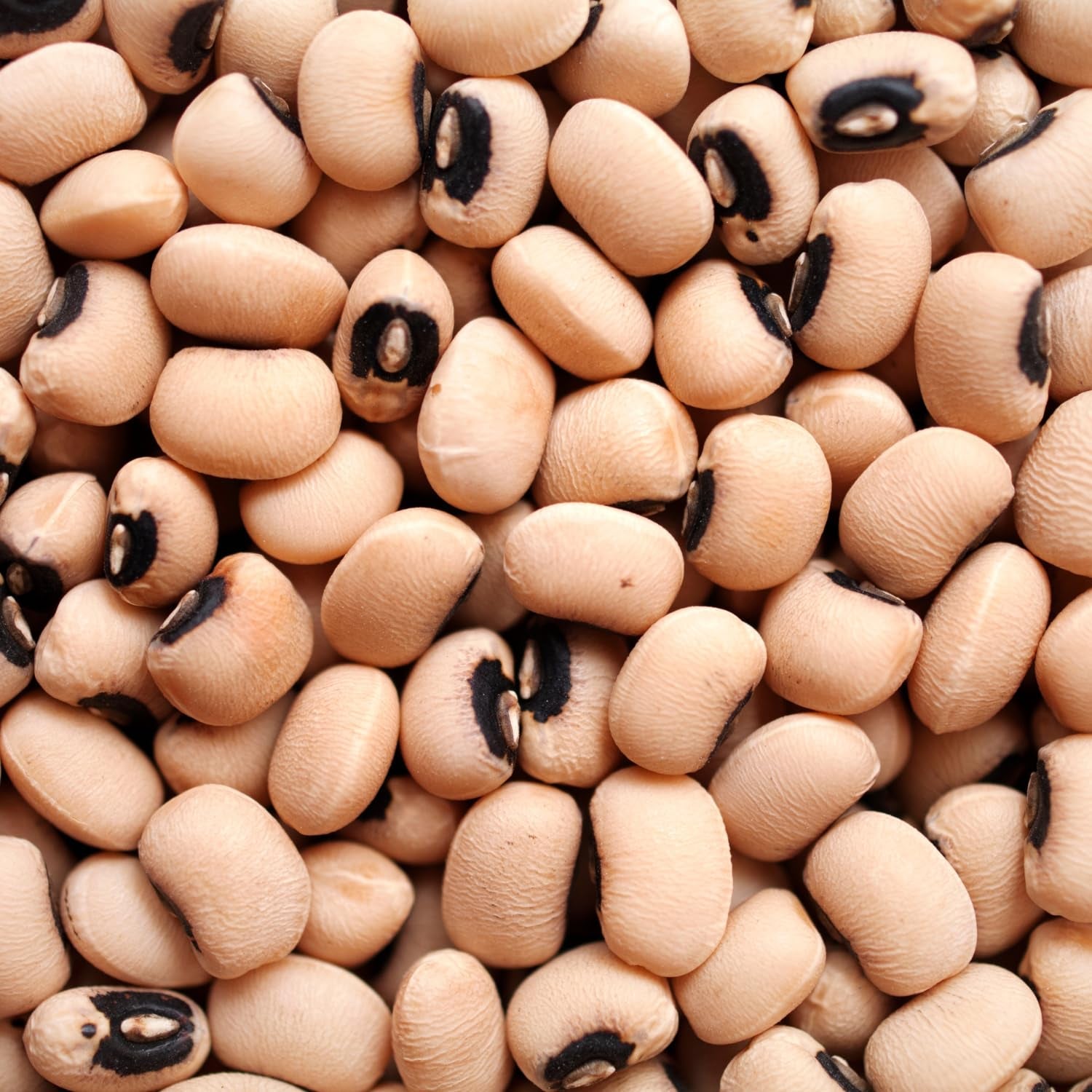 AFROASE - Guisantes de ojo negro - 1 x 1 kg