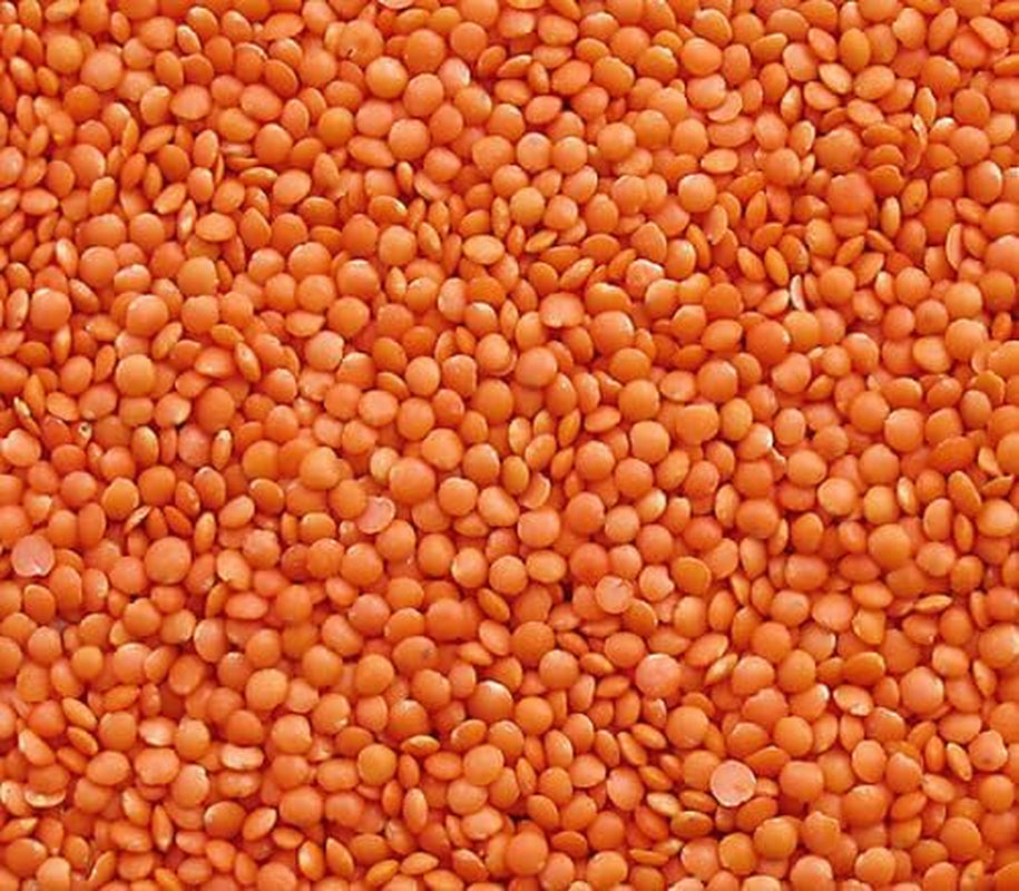 Seba Garden Lentejas Rojas 1kg - Lentejas Enteras Premium de Canadá - Massor Dal, Sin OGM, Alta en Proteínas, Alta en Fibra - Totalmente Natural, Vegana, Sin Gluten, Ideal para Sopas y Curry