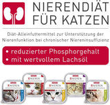 BEAPHAR - Dieta renal con pollo - Alimento completo para gatos con insuficiencia renal crónica - Para apoyar la función renal - 100 g