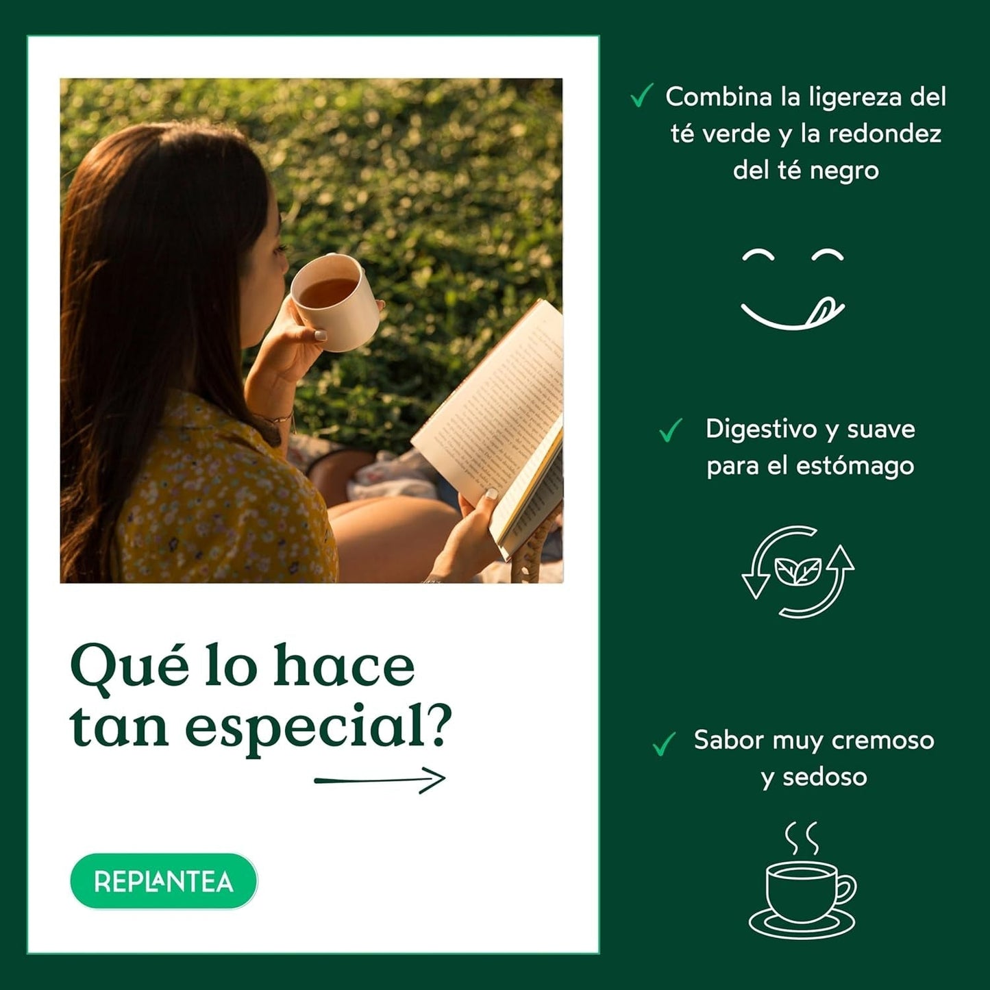 Té Oolong con leche BIO (100 g) | Té Oolong suelto premium con notas de leche cremosas y dulces | Especialidad en té delicado | REPLANTAR