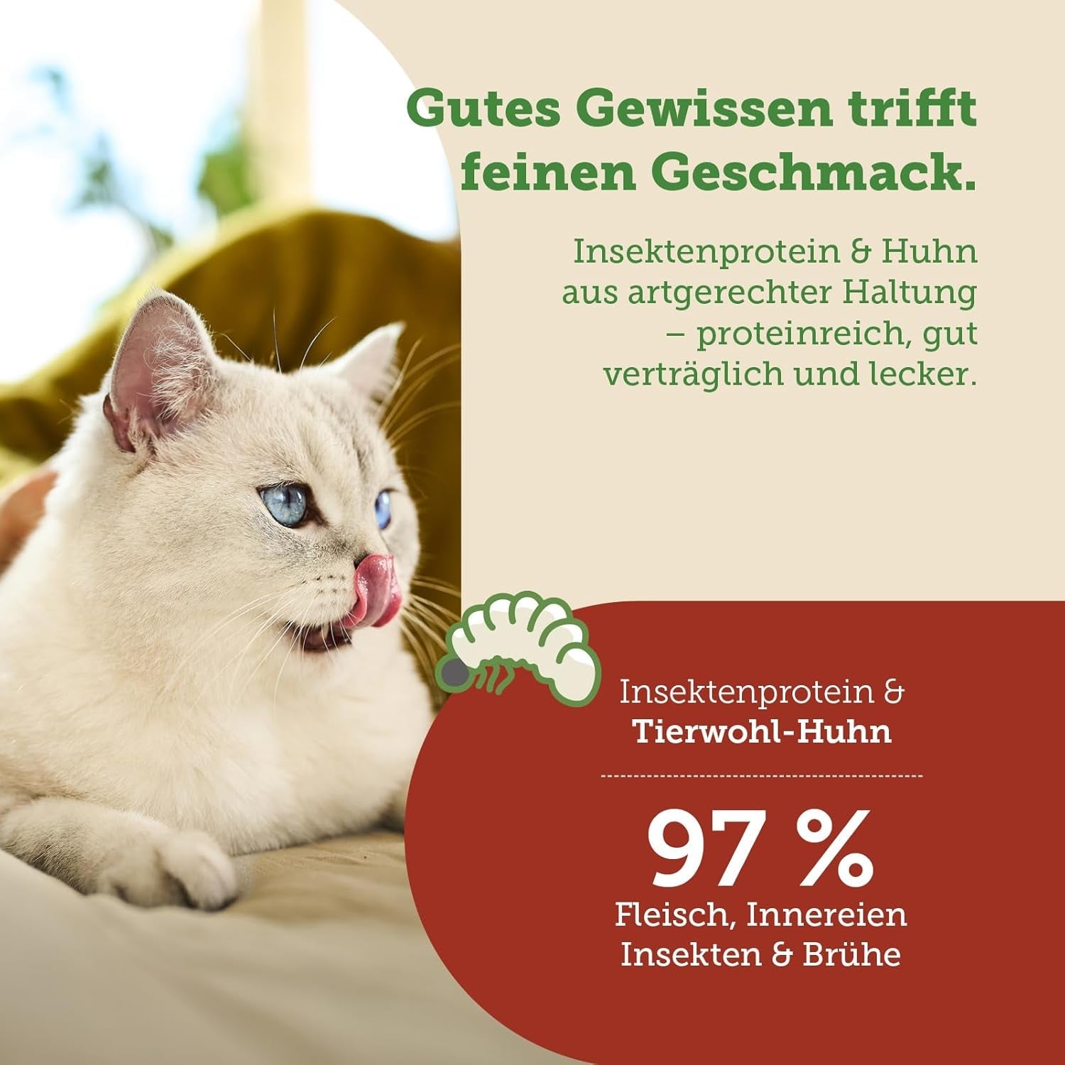 MERA Gatos Naturaleza Insecto Premium Katzenfutter Nass 12x85g | sin Zucker y Getreide| Nachhaltig & mit viel Insektenprotein | Katzennassfutter adulto