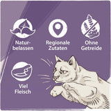 Venandi Animal - Alimento húmedo premium para gatos - Caballo como monoproteína, paquete de 12 (12 x 125 g), sin cereales, monoproteína
