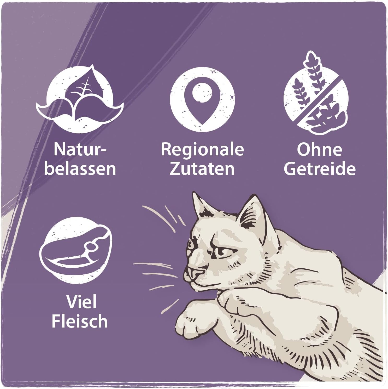 Venandi Animal - Alimento húmedo premium para gatos - Caballo como monoproteína, paquete de 12 (12 x 125 g), sin cereales, monoproteína