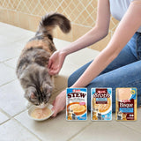 INABA Ciao Caldo Comida húmeda para gatos 88% humedad y vitamina E, sopa premium para gatos con pollo 40g (pack de 12), carne 100% natural, sin cereales, sin azúcar