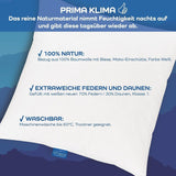 LINEA by Böhmerwald - Cosy - Almohada Balance de alta calidad, 40X80, 70% plumas clase 1, 30% plumón nuevo, apta para alergias, lavable hasta 60°C, fabricada en Alemania Naty Shop almohadas estándar