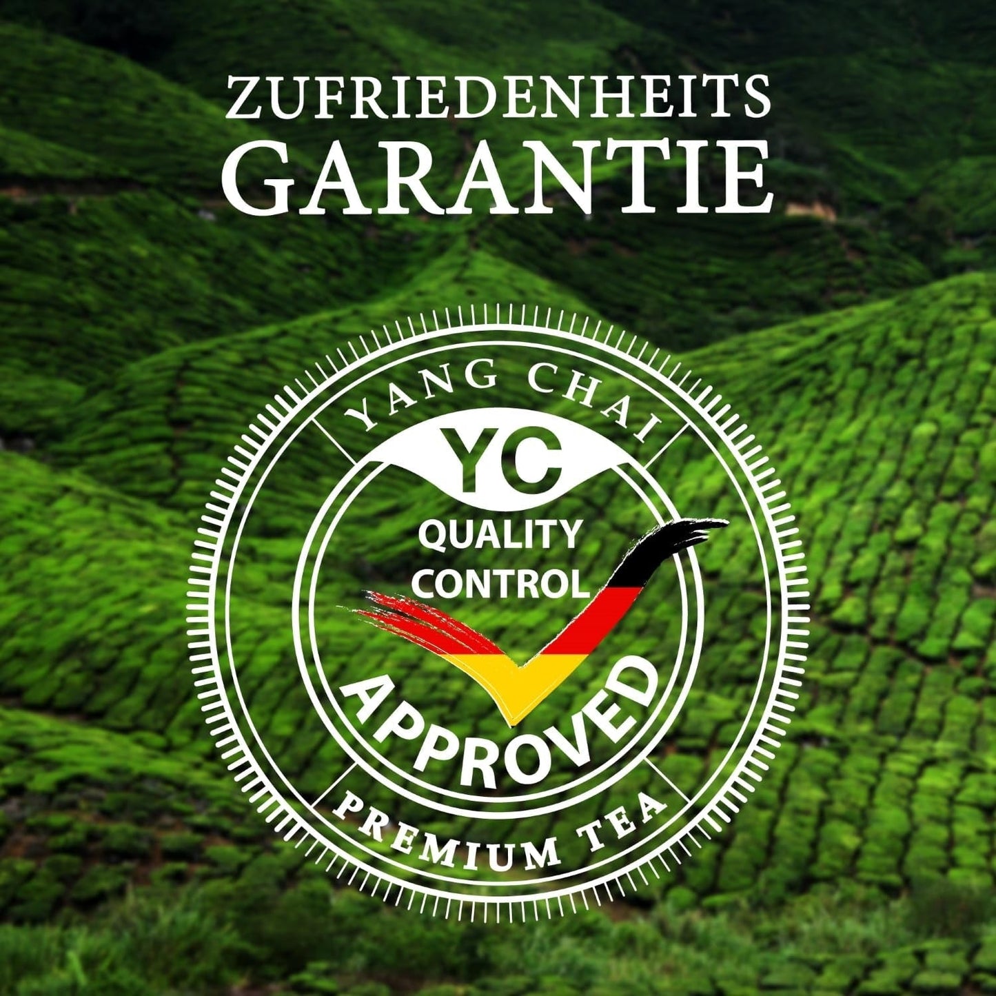 YC Yang Chai Sencha Té Verde BIO 250G - Té japonés a granel con sabor a bergamota - Té verde japonés original "Dinastía Sencha" procedente de cultivo ecológico controlado