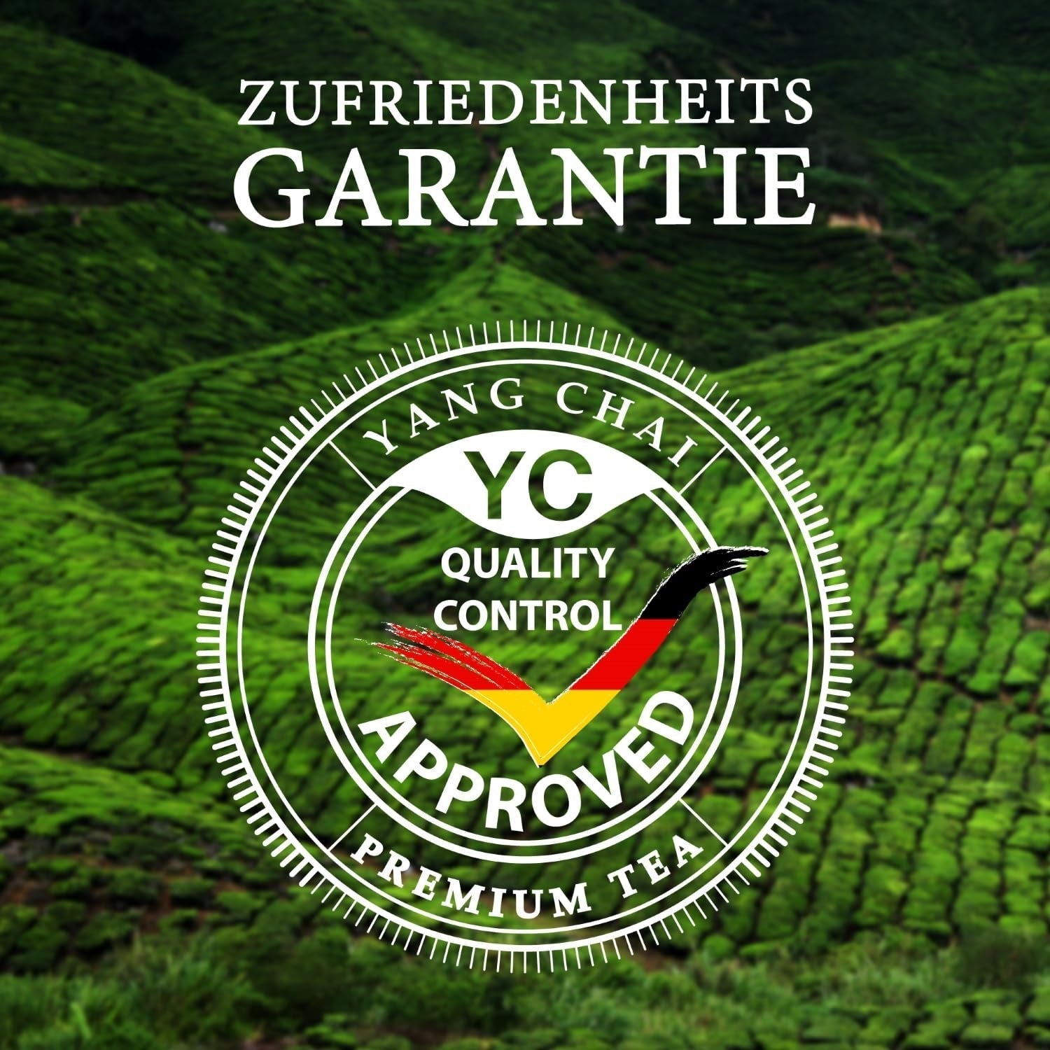 YC Yang Chai Sencha Té Verde BIO 250G - Té japonés a granel con sabor a bergamota - Té verde japonés original "Dinastía Sencha" procedente de cultivo ecológico controlado