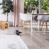 Mantas y Muebles, Mascotas, Casas y Cuevas, Gatos, Camas para gatos, Gatos - camas, colchones
