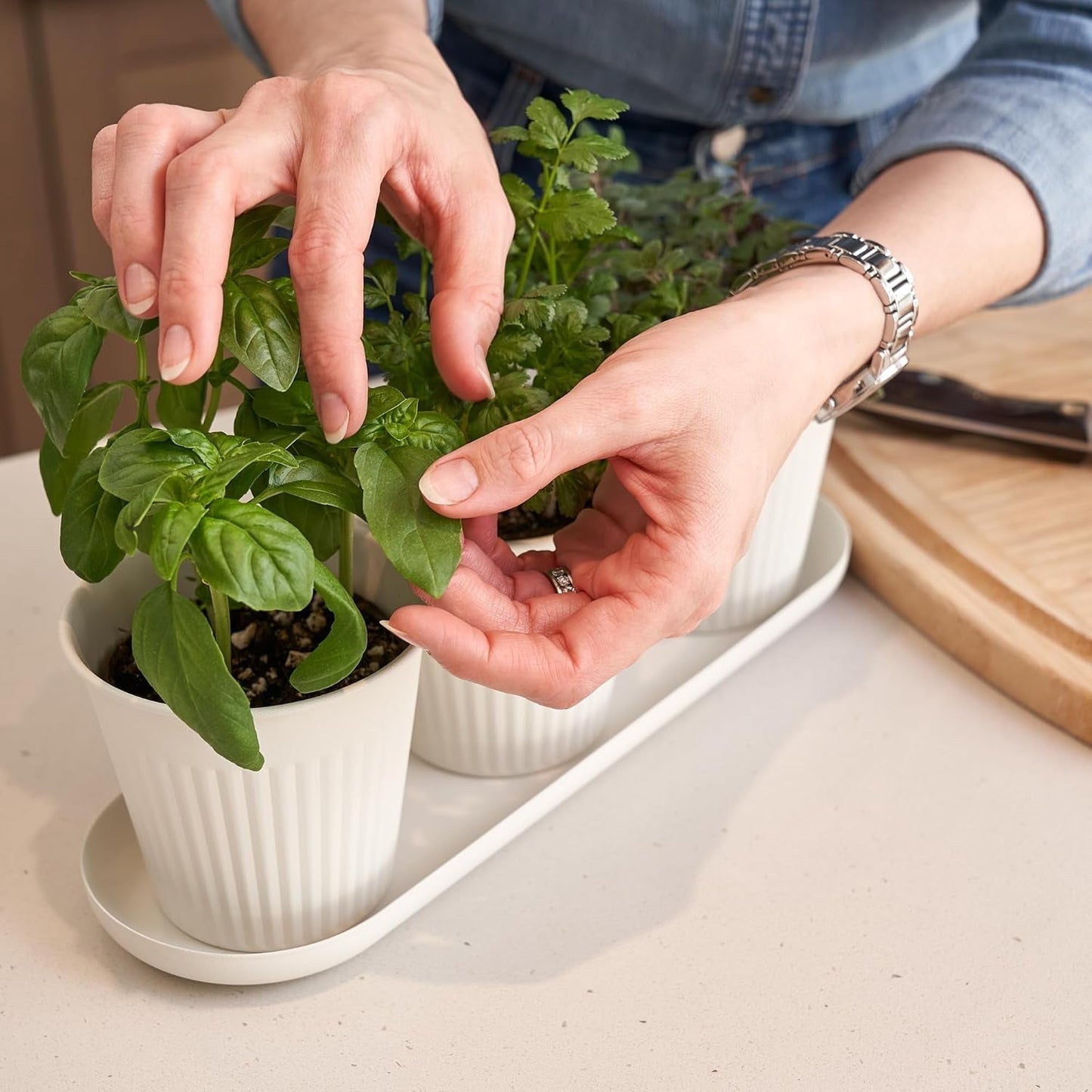 Juego de 3 hermosas macetas de jardín con hierbas, perfectas para cualquier alféizar de ventana o mostrador de la cocina, un moderno juego de jardineras decorativas que incluye bandeja y...