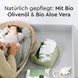 LILLYDOO Toallitas húmedas verdes, 600 unidades (10 x 60), toallitas 100 % libres de plástico, resistentes a desgarros, sin fragancia, suave y natural, limpieza suave para pieles sensibles, dermatológicamente probadas